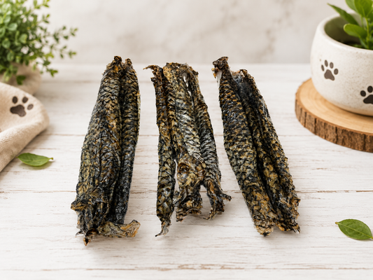 Tilapia Fish Bites – Healthy Dog Treats