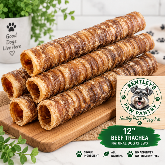 12-inch natural beef trachea chew for dogs
