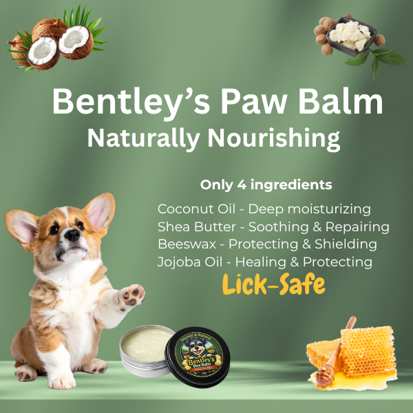 Bentley's Paw Balm