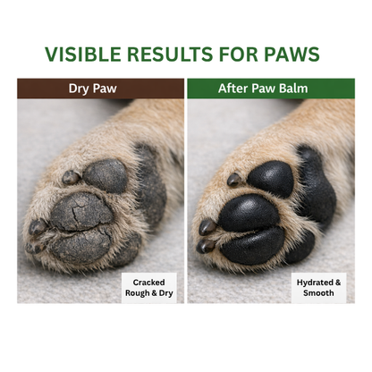 Bentley's Paw Balm