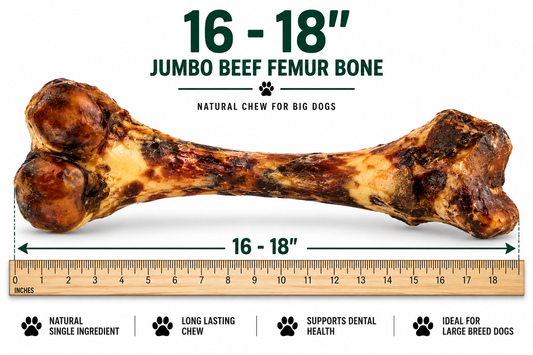 Jumbo beef femur bone for dogs