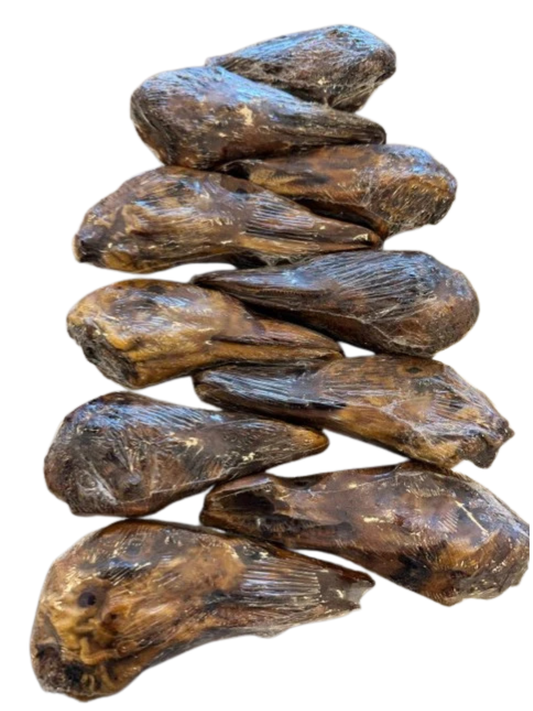Duck Head